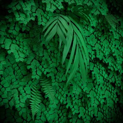 Render - JVP_Preservado_Mix_Verde_Florest_Insta2