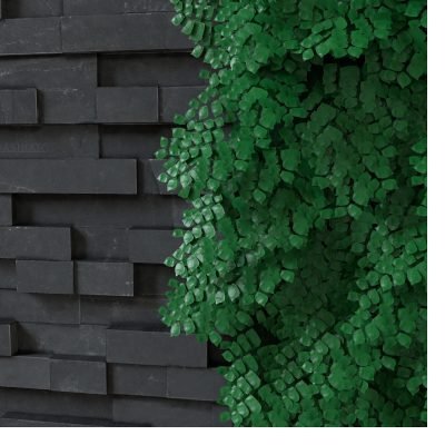 Revestimento Pasinato e Vertical Garden